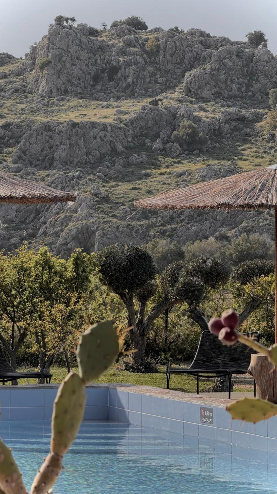 Villa La Casa Di Lusso N4 - Adults Only à Kolymbia Extérieur photo